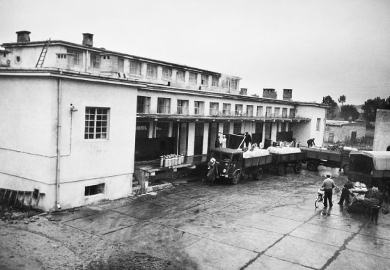 Ciężarówki na dziedzińcu zakładu