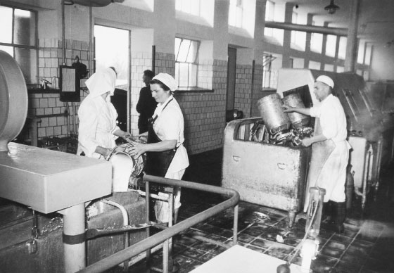 Pracownicy na linii produkcyjnej